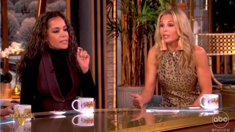 Elisabeth Hasselbeck Just Destroyed The View Panel with One Question About Border Security