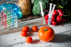 Three syringes in tomato. Genetically modified food concept on wooden background.